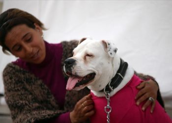 Ağır hasarlı binaya girerek kurtardığı köpeği “Rita” ile çadır kentte kalıyor