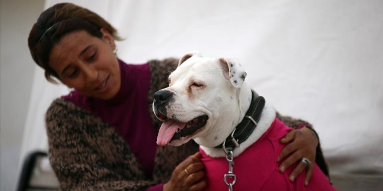 Ağır hasarlı binaya girerek kurtardığı köpeği “Rita” ile çadır kentte kalıyor