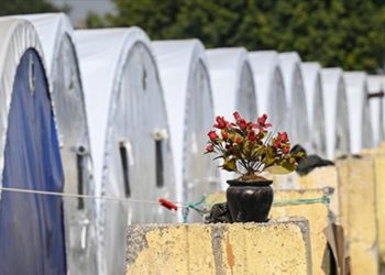 İskenderun'da depremin yaralarını sarma çalışmaları sürüyor