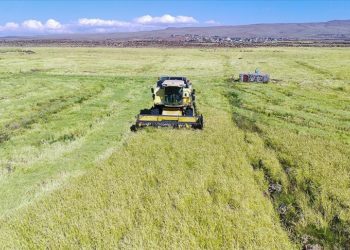 Destek ödemeleri kapsamında 13 milyar 836 milyon lira çiftçilerin hesaplarına yatırılacak