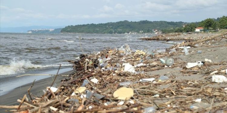 Marmara Denizi’ndeki kirlilik hamsilerin yeterince beslenememesine neden oldu