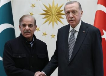 Cumhurbaşkanı Erdoğan, Pakistan Başbakanı Şerif'i kabul etti