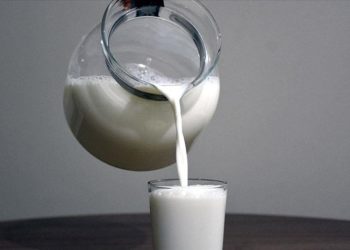 Çiğ süt desteği ödemelerine ilişkin esaslar belli oldu