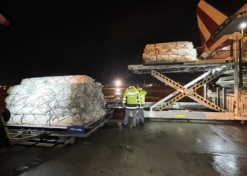 Pakistan'dan deprem bölgesine çadır taşıyan uçak Adana'ya iniş yaptı