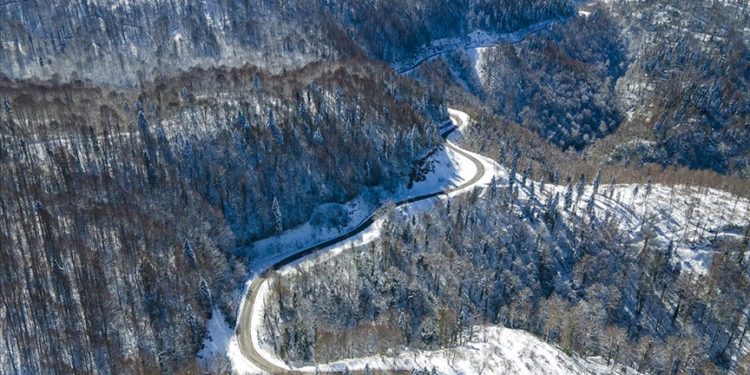 Çam Dağı'nda karla kaplanan ormanlar havadan görüntülendi