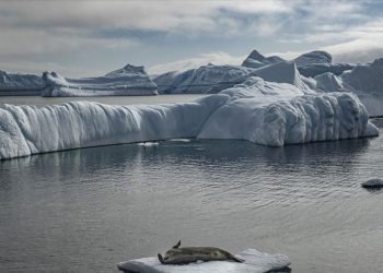Antarktika buzullarının erimesiyle durgunlaşan okyanuslar daha az karbondioksit emiyor