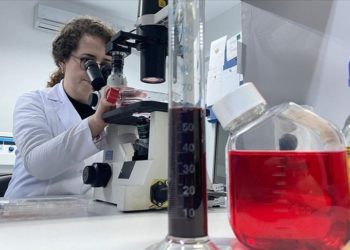 Hayvanlarda görülen şap hastalığı insan sağlığı için risk oluşturmuyor