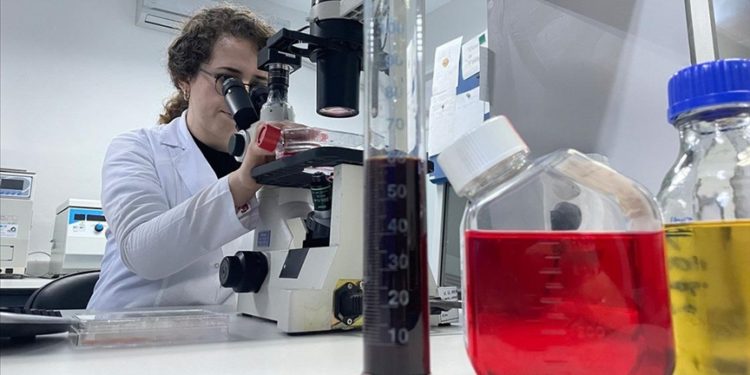 Hayvanlarda görülen şap hastalığı insan sağlığı için risk oluşturmuyor