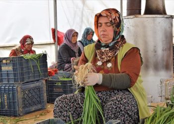 Havaların mevsim normalinin üzerinde seyretmesi kışlık sebzelere talebi azalttı