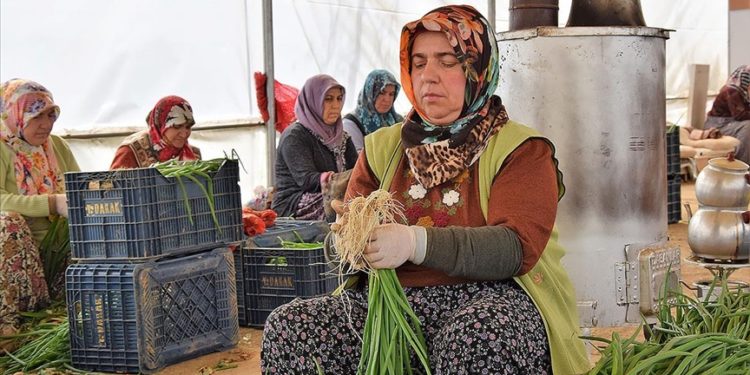Havaların mevsim normalinin üzerinde seyretmesi kışlık sebzelere talebi azalttı