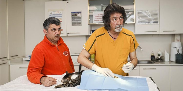 Kök hücre tedavisiyle felçli hayvanlar da ayağa kalkıyor