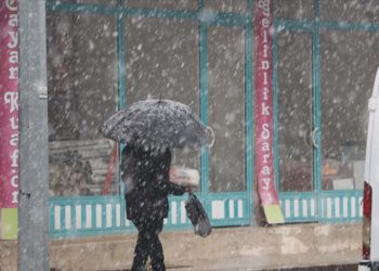 Bingöl'de kar yağışı etkili oldu