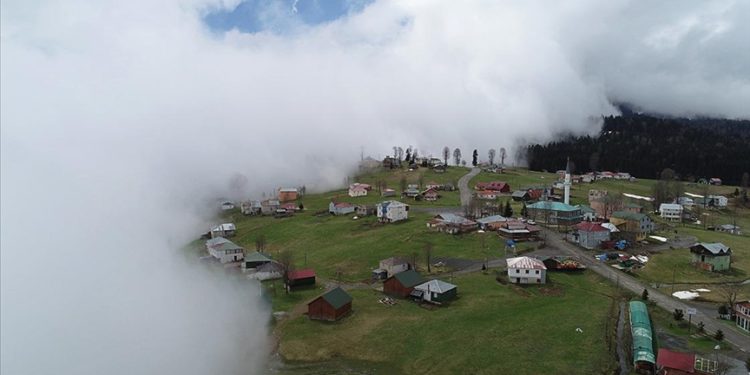 Bulutlara komşu Hıdırnebi Yaylası'nda baharda yeşilin her tonunu görmek mümkün
