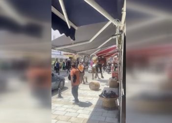 Bodrum'da caddede otomobilden ürken devenin çevreye yaşattığı panik anları kameraya yansıdı