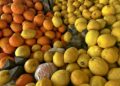 Narenciye ihracatında yılın ilk çeyreğini mandalina ve limon sırtladı