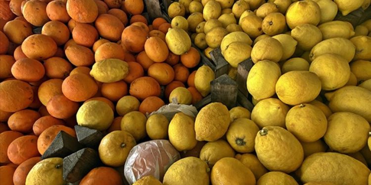 Narenciye ihracatında yılın ilk çeyreğini mandalina ve limon sırtladı