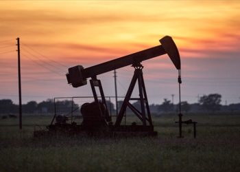 OPEC+ üyesi Arap ülkelerinden bir kısmı petrol üretimini düşürme kararı aldı