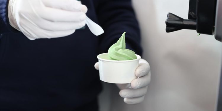 Yosundan üretilen dondurma, TEKNOFEST ziyaretçilerinin beğenisini kazandı