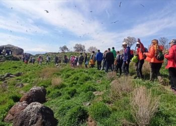 Van'da doğaseverler Adır Adası ve Amik Kalesi'ni gezdi