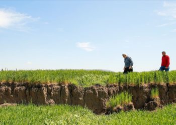 Deprem nedeniyle arazilerde 2 metreyi bulan çökmeler çiftçileri zorluyor