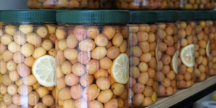 Türkiye’nin zeytin ve zeytinyağı ihracatı ilk çeyrekte yüzde 156 arttı