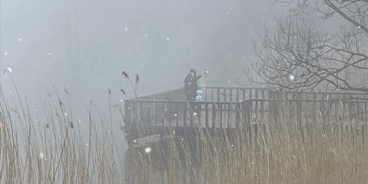 Gölcük Tabiat Parkı'nda kar ve sis etkili oluyor