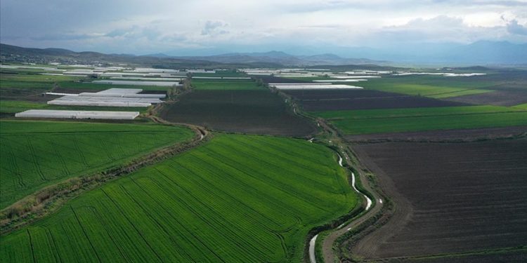 Kahramanmaraş’ta depremzede çiftçiler devlet desteğiyle ekilmedik alan bırakmayacak