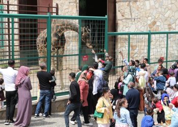 Gaziantep Doğal Yaşam Parkı'nda bayram yoğunluğu