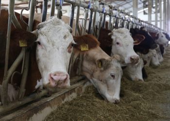 Sözleşmeli besicilik aile işletmelerinin gelişimine katkı sağlayacak