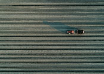 Tarımsal girdi fiyat endeksi şubatta aylık yüzde 1,22, yıllık yüzde 69,99 arttı