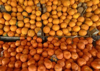 Türkiye’nin turunçgil ihracatı yılın ilk çeyreğinde yüzde 12 arttı