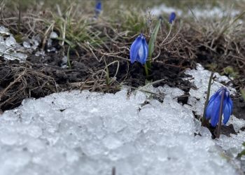 Kars'ta kar yağışıyla köyler beyaza büründü