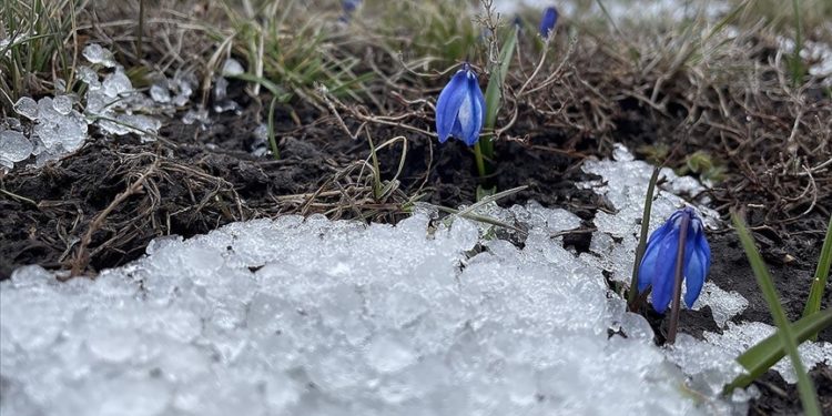 Kars'ta kar yağışıyla köyler beyaza büründü