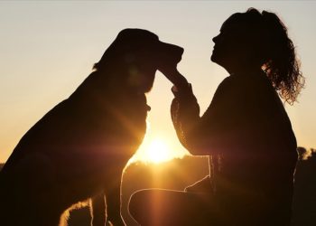 Evcil hayvanlar, sigarayı bırakmanın ardındaki en büyük motivasyonlardan biri
