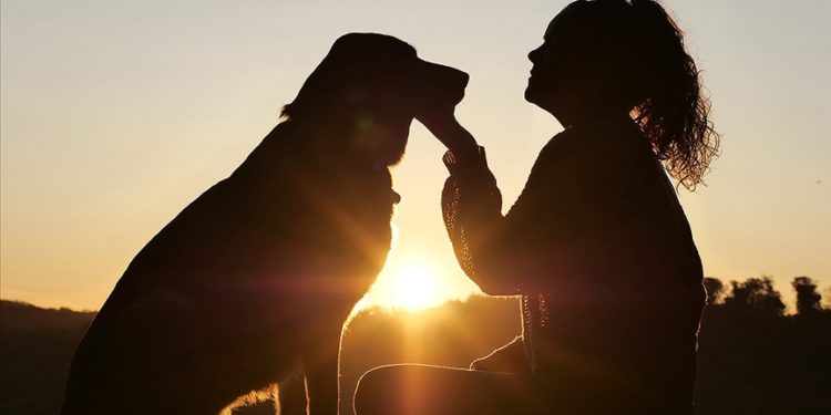 Evcil hayvanlar, sigarayı bırakmanın ardındaki en büyük motivasyonlardan biri