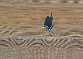 Bakan Kirişci, Cumhurbaşkanı Erdoğan’ın tarım sektörüne yönelik müjdelerinin detaylarını açıkladı