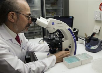 Kemik iliği kanserinde “hücresel” tedaviler kökten çözüm sağlayabilir