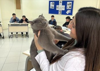 Matematik öğretmeninin kedisi "Başkan"ı lise öğrencileri çok sevdi