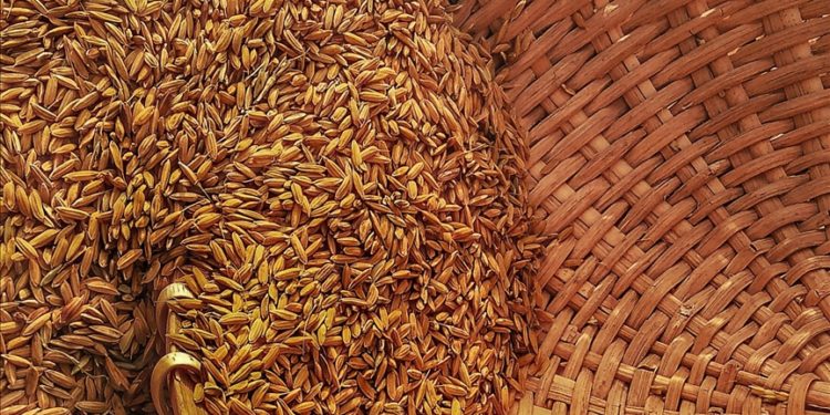 Küresel gıda fiyatları düşüşünü 12’nci aya taşıdı