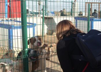 Gaziantep’teki barınakta yaralı ve sakat hayvanlara sahip çıkılıyor