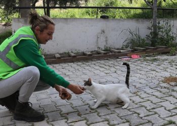 Hatay’da gönüllü hayvanseverler enkazdan can dostları kurtarıyor