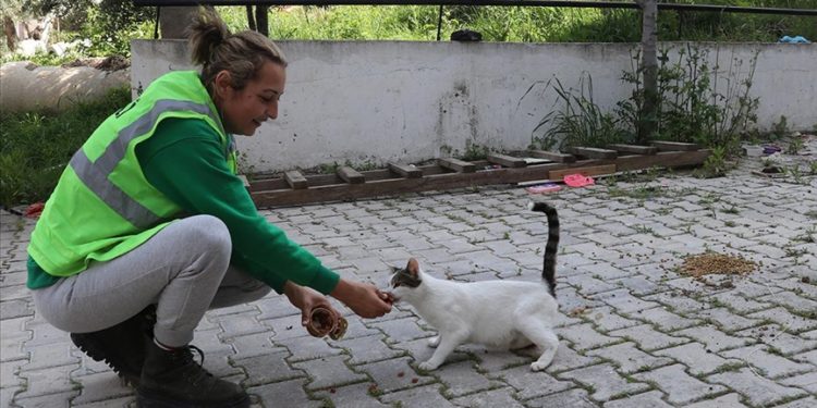 Hatay’da gönüllü hayvanseverler enkazdan can dostları kurtarıyor