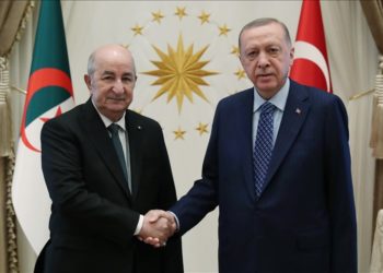 Cezayir Cumhurbaşkanı Tebbun, Cumhurbaşkanı Erdoğan ile Sudan’ı görüştü
