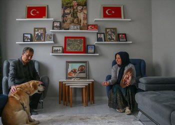 Şehidin emaneti mayın arama köpeği “Atmaca” depremlerin ardından yuvaya döndü