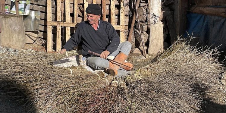 Yaklaşık 40 yıldır çalı süpürgesi yapıp ailesinin geçimini sağlıyor