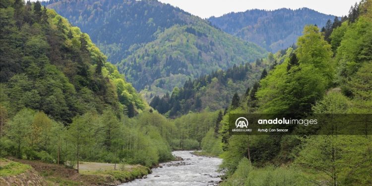 Rize doğal güzelliğiyle ziyaretçilerine görsel şölen sunuyor