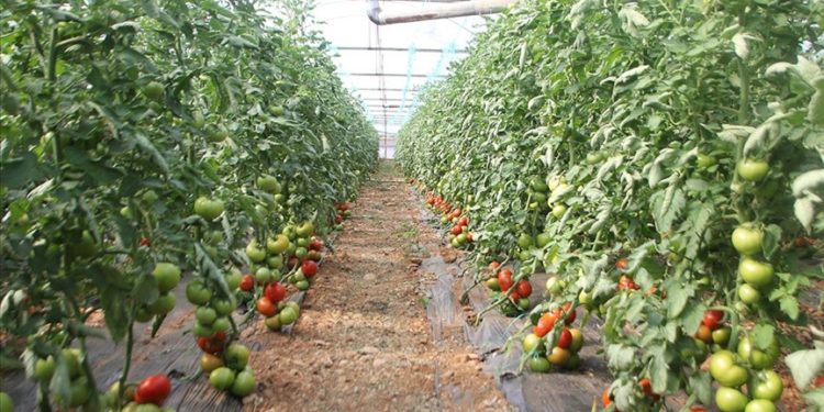 Batı Akdeniz’in ihracatında lider ülke Rusya