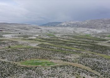 Mersin’de yaylaya yağan kar, arıcıları bal rekoltesi için umutlandırdı
