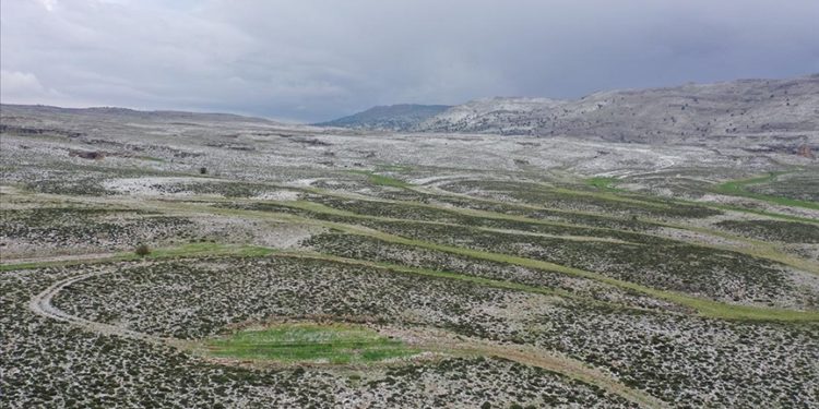 Mersin’de yaylaya yağan kar, arıcıları bal rekoltesi için umutlandırdı