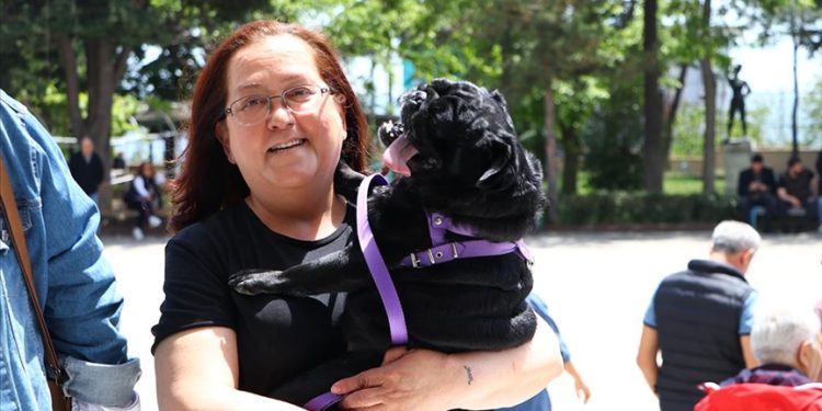 Oy kullanmaya "can dostları" ile geldiler